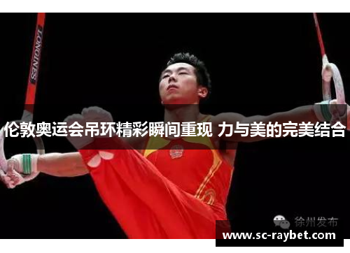 伦敦奥运会吊环精彩瞬间重现 力与美的完美结合